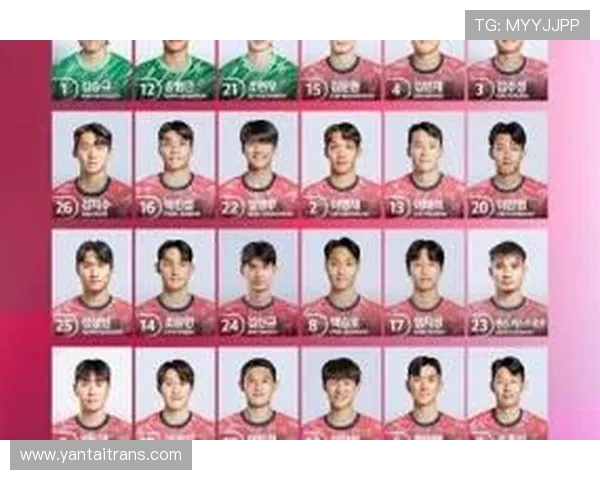 韩国在法甲的球员：韩国球员的法甲历程